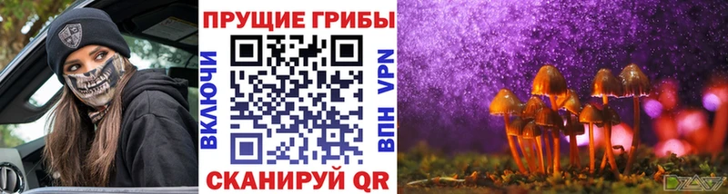 Псилоцибиновые грибы мицелий  Мамоново 